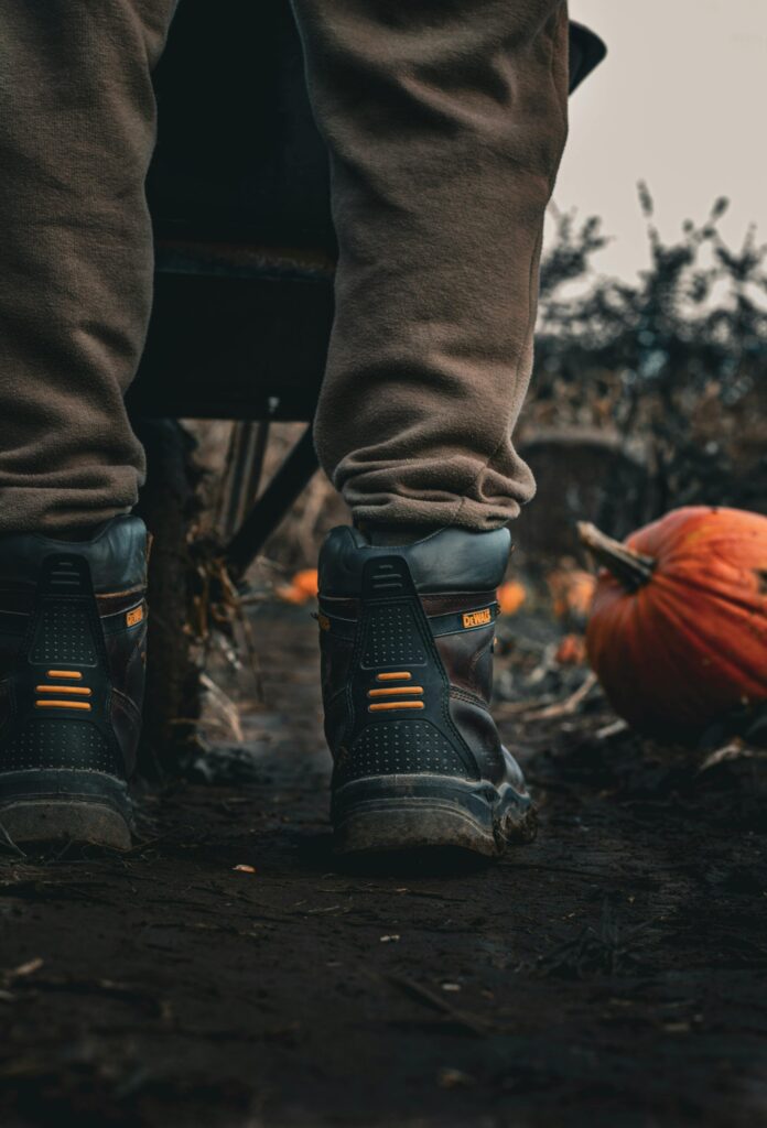 Länsförsäkringar logga in